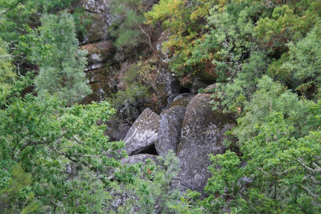 Canedo Retiro Da Arminda别墅 外观 照片
