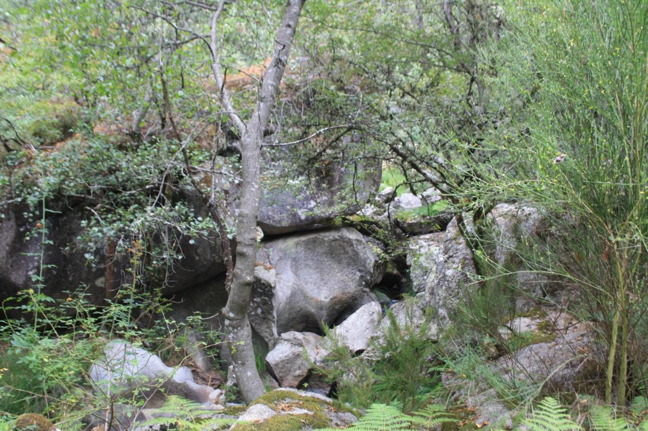 Canedo Retiro Da Arminda别墅 外观 照片
