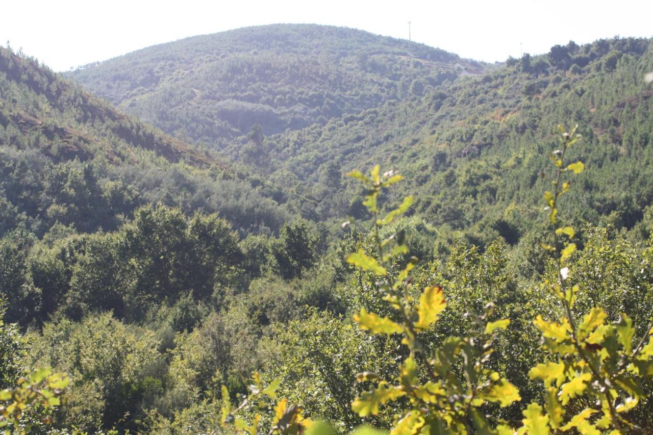 Canedo Retiro Da Arminda别墅 外观 照片