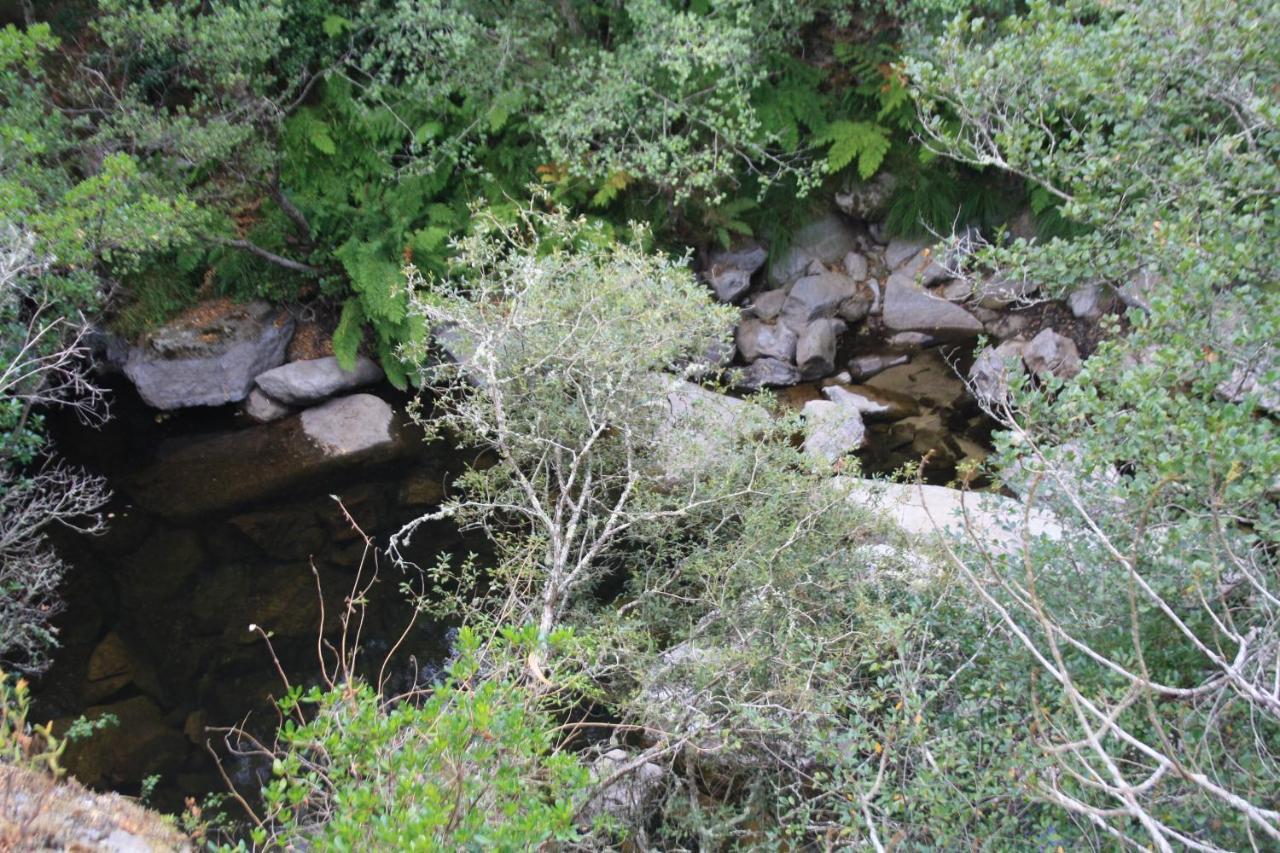 Canedo Retiro Da Arminda别墅 外观 照片