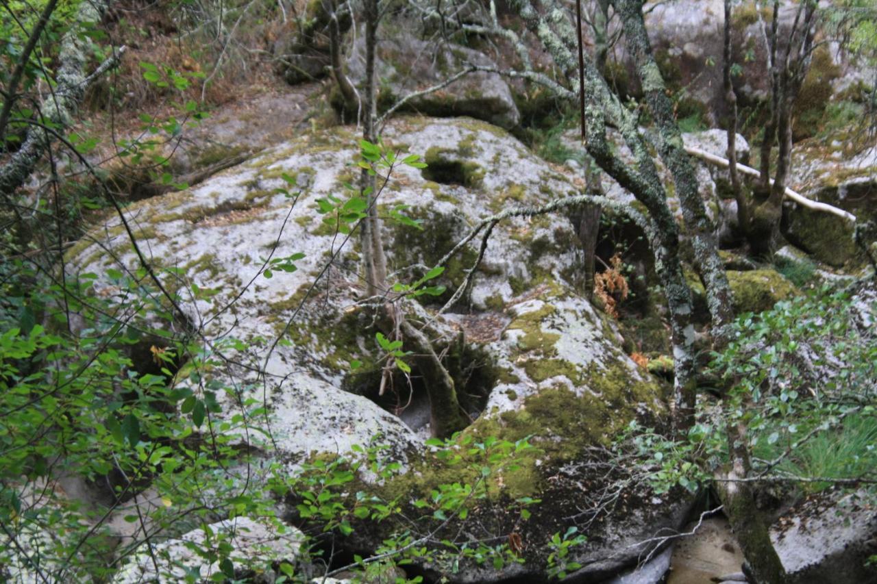 Canedo Retiro Da Arminda别墅 外观 照片
