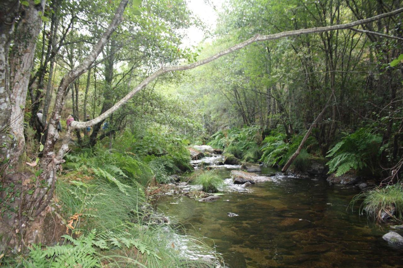 Canedo Retiro Da Arminda别墅 外观 照片