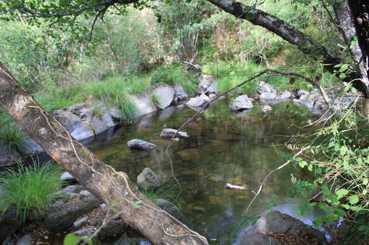Canedo Retiro Da Arminda别墅 外观 照片
